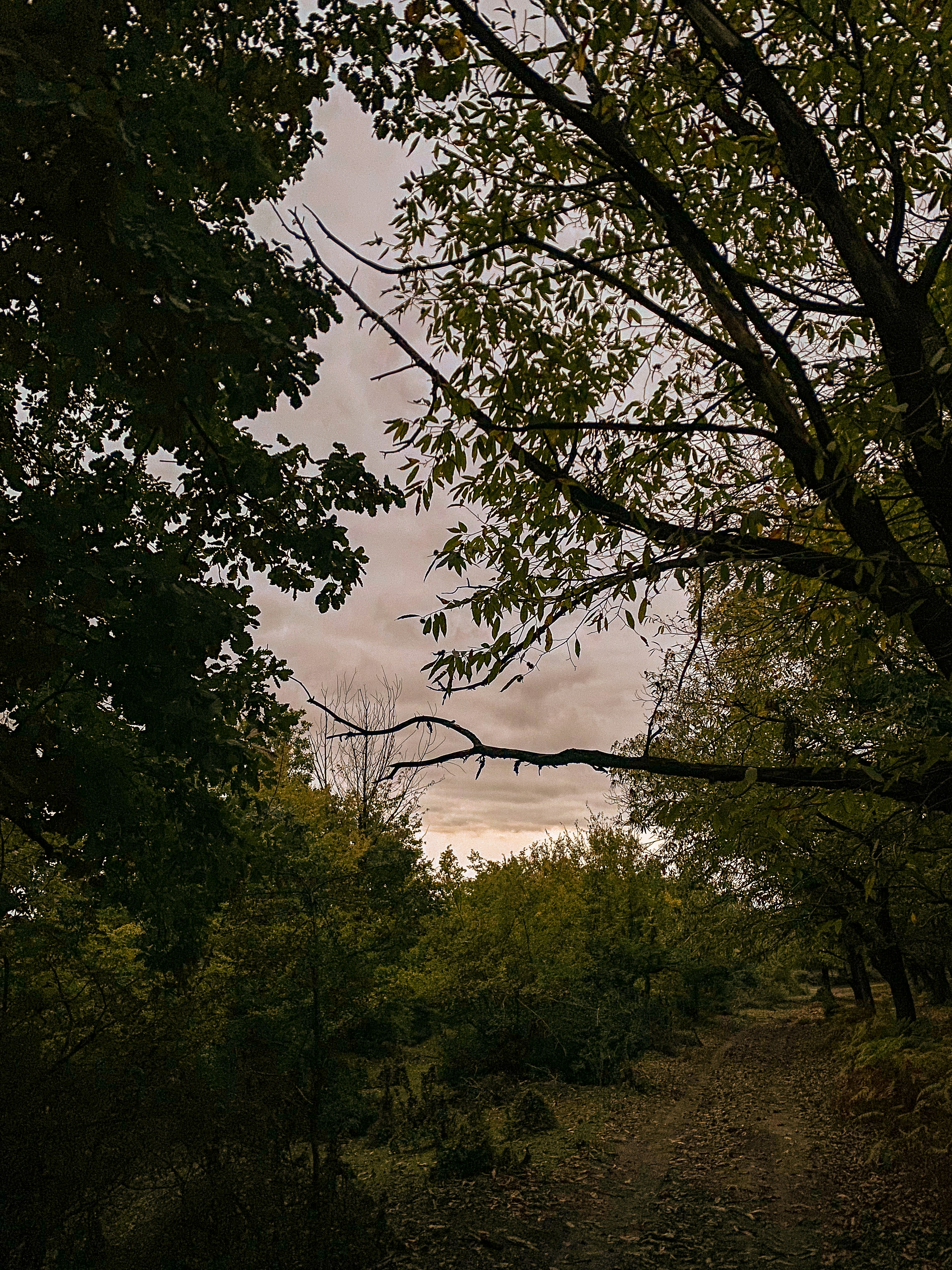 Photo by jamalyaliyazul