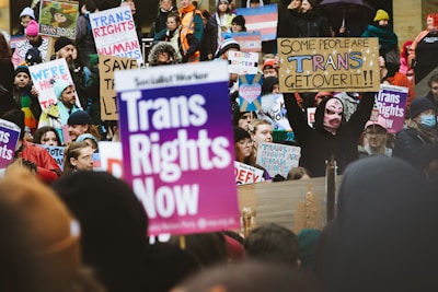 A large group of people are gathered, holding colorful signs advocating for transgender rights. The participants are bundled in winter clothing, and many are wearing hats or scarves. The signs display various slogans such as 'Trans Rights Now' and 'Trans Rights are Human Rights', reflecting a strong message of inclusivity and activism.