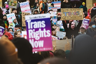 A large group of people are gathered, holding colorful signs advocating for transgender rights. The participants are bundled in winter clothing, and many are wearing hats or scarves. The signs display various slogans such as 'Trans Rights Now' and 'Trans Rights are Human Rights', reflecting a strong message of inclusivity and activism.