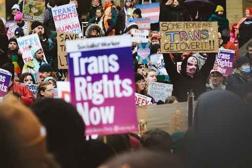 A large group of people are gathered, holding colorful signs advocating for transgender rights. The participants are bundled in winter clothing, and many are wearing hats or scarves. The signs display various slogans such as 'Trans Rights Now' and 'Trans Rights are Human Rights', reflecting a strong message of inclusivity and activism.