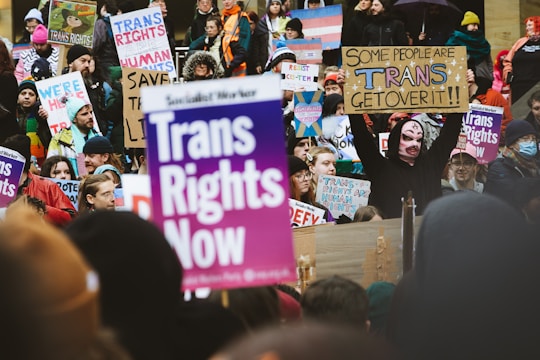 A large group of people are gathered, holding colorful signs advocating for transgender rights. The participants are bundled in winter clothing, and many are wearing hats or scarves. The signs display various slogans such as 'Trans Rights Now' and 'Trans Rights are Human Rights', reflecting a strong message of inclusivity and activism.