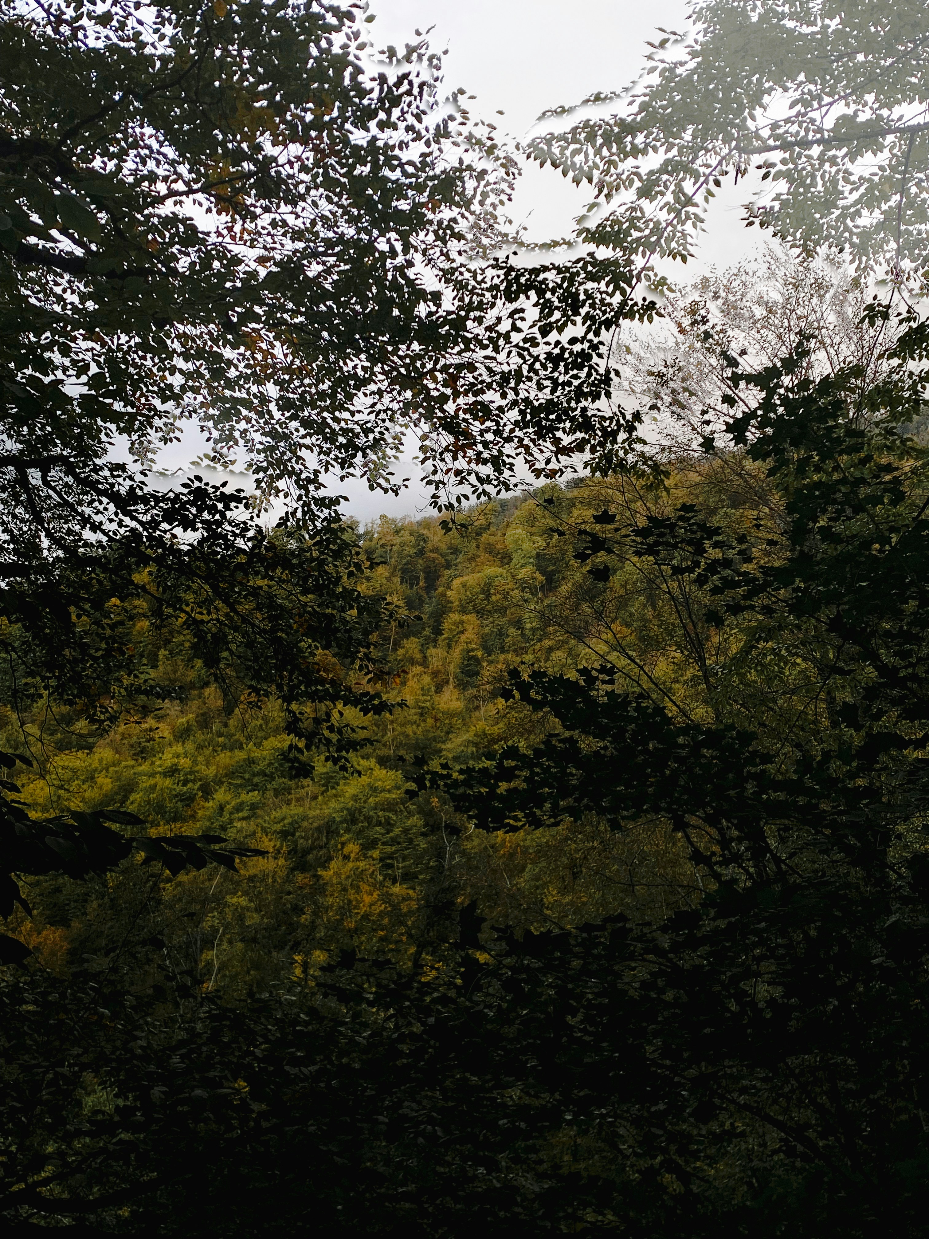 Photo by jamalyaliyazul