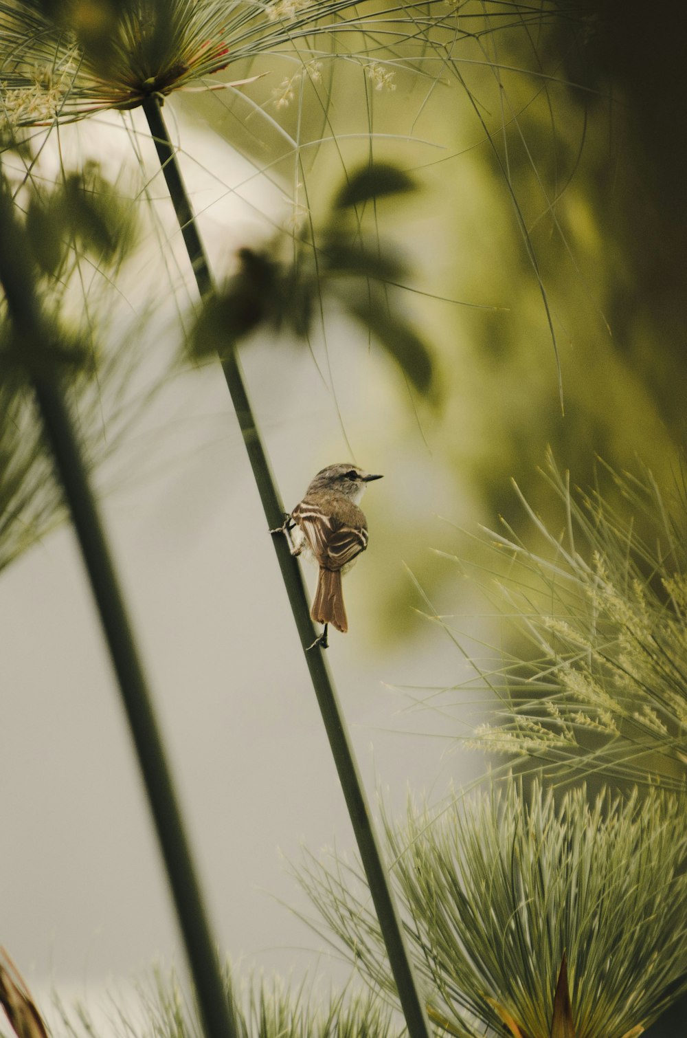 a small bird perched on top of a tree branch