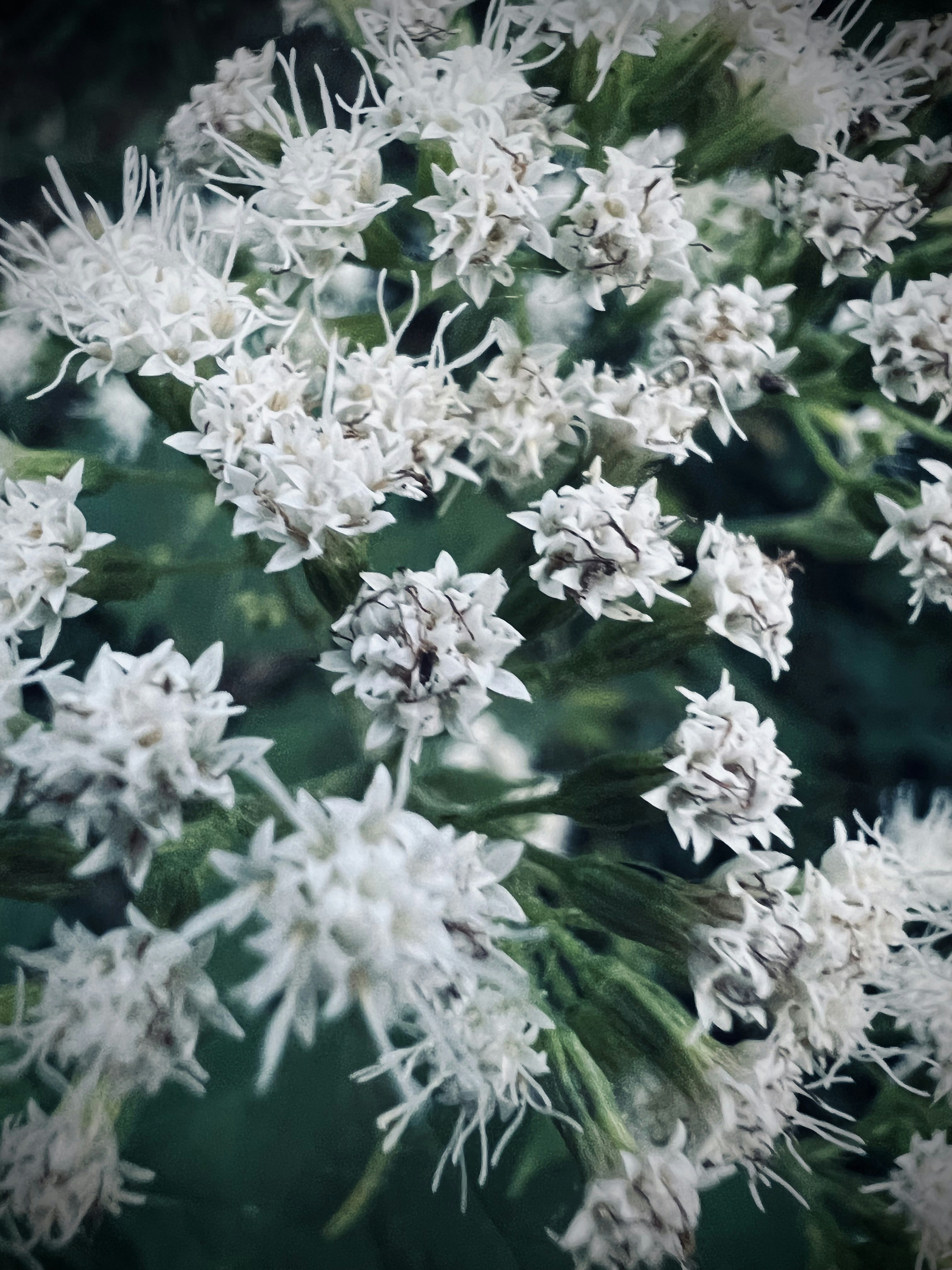 Photo by smithmason557