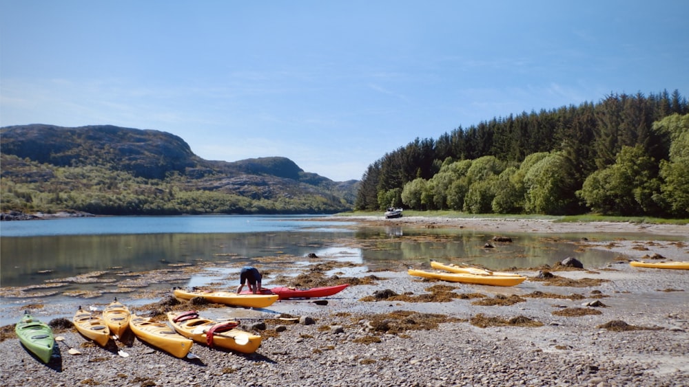 a group of kayaks on the shore of a lake