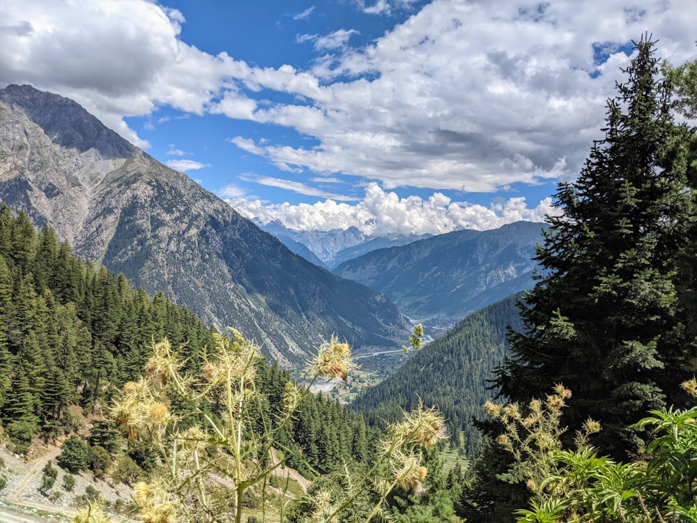 a scenic view of a valley with mountains in the background