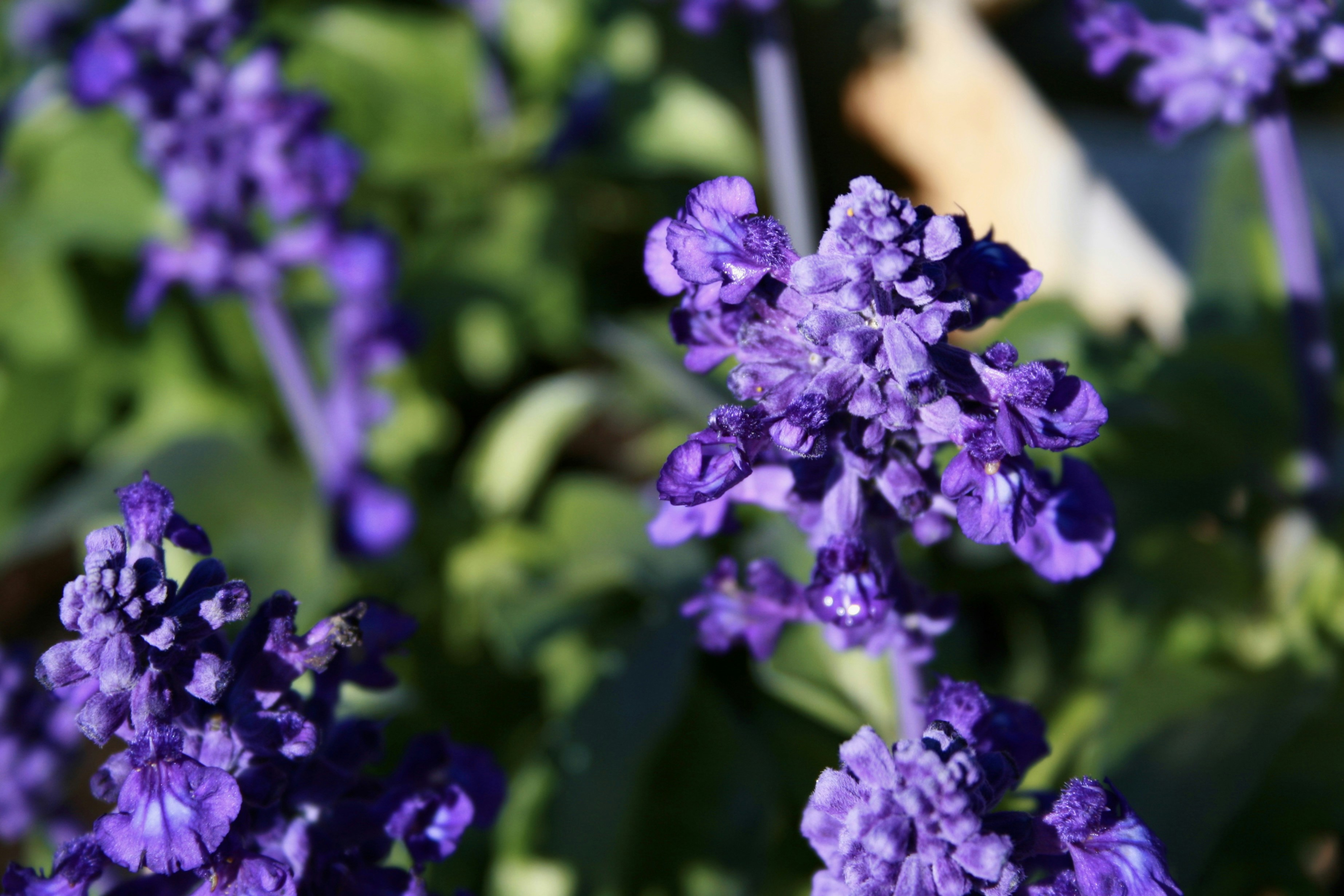 Photo by kristinokarlsen