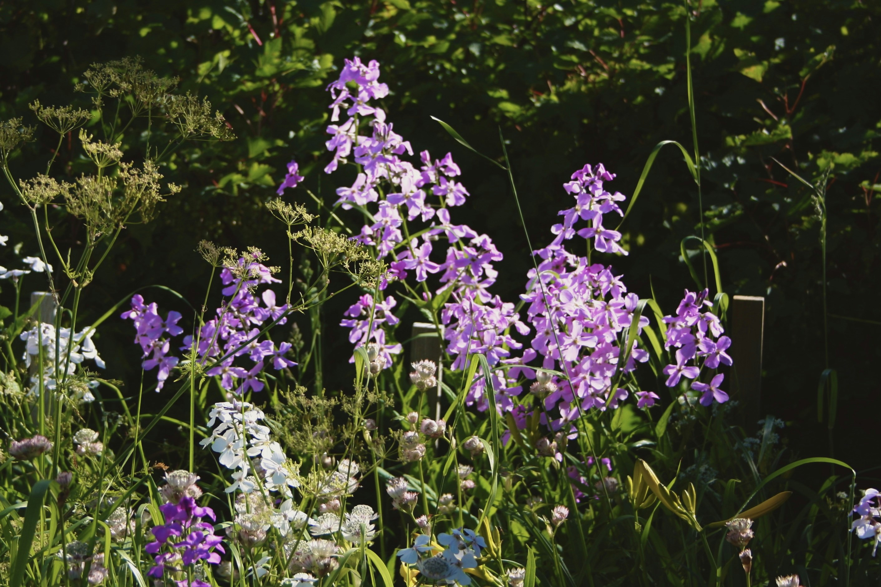 Photo by kristinokarlsen