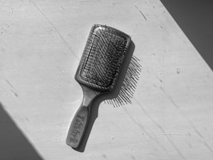 a black and white photo of a hair brush