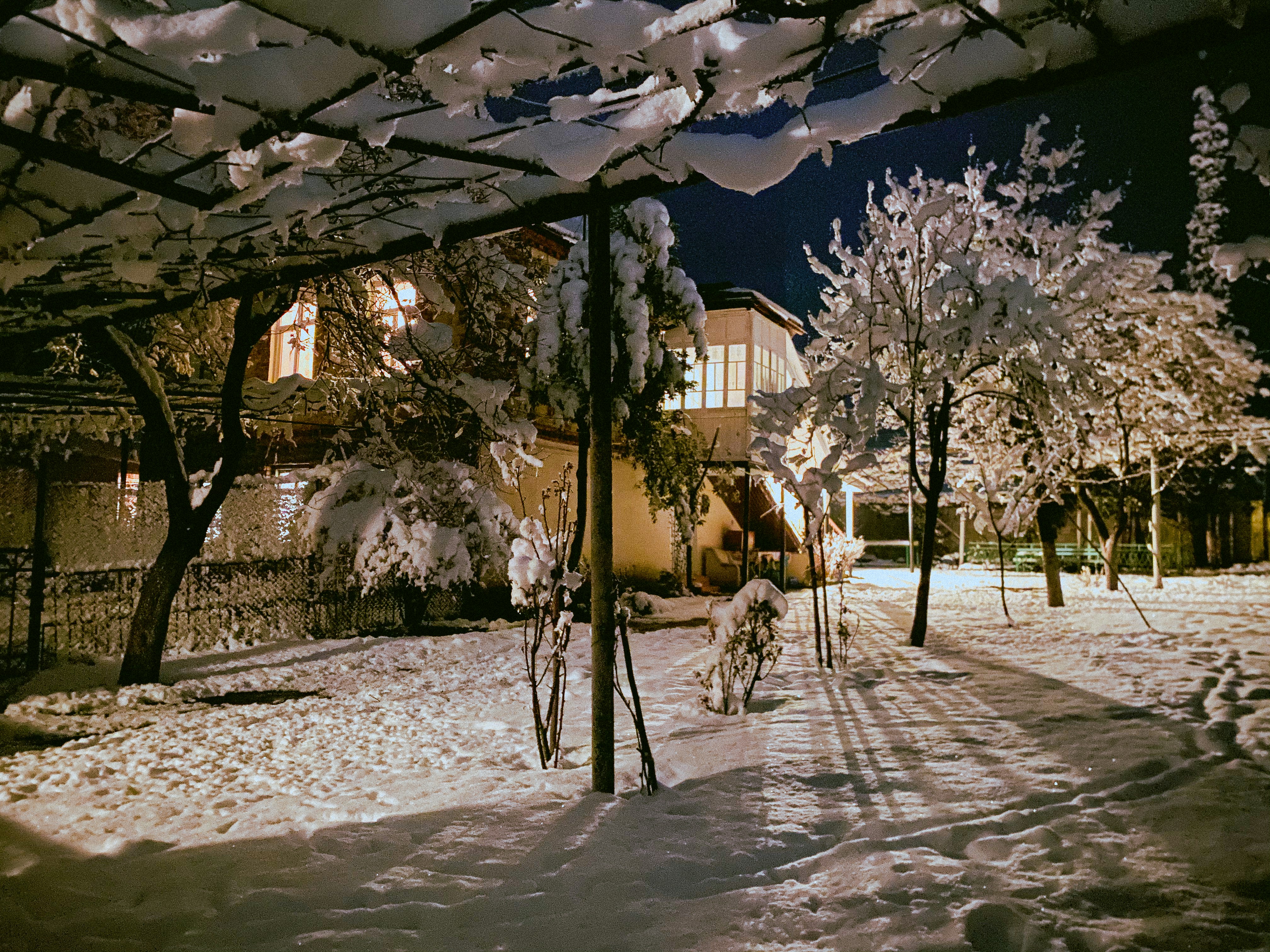 un patio cubierto de nieve con árboles y un edificio al fondo