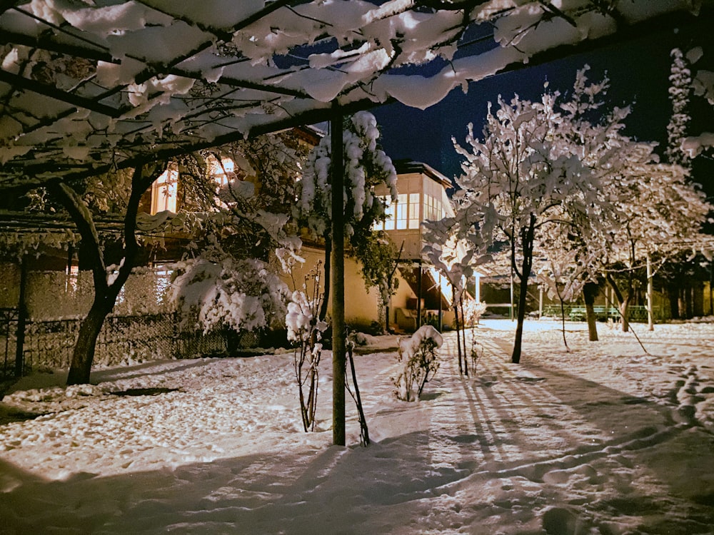 a snow covered yard with trees and a building in the background