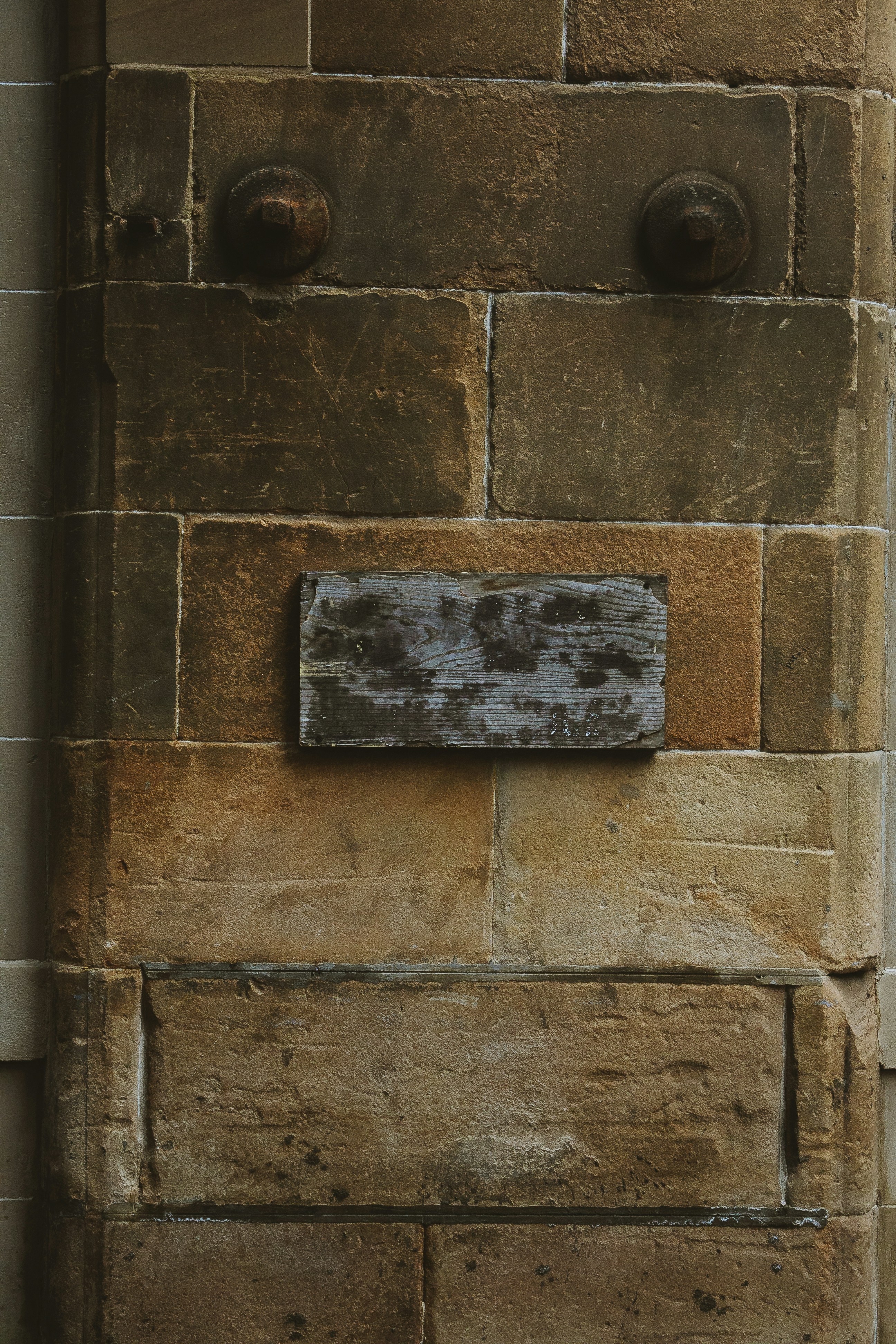 Photo by thiagorocha7