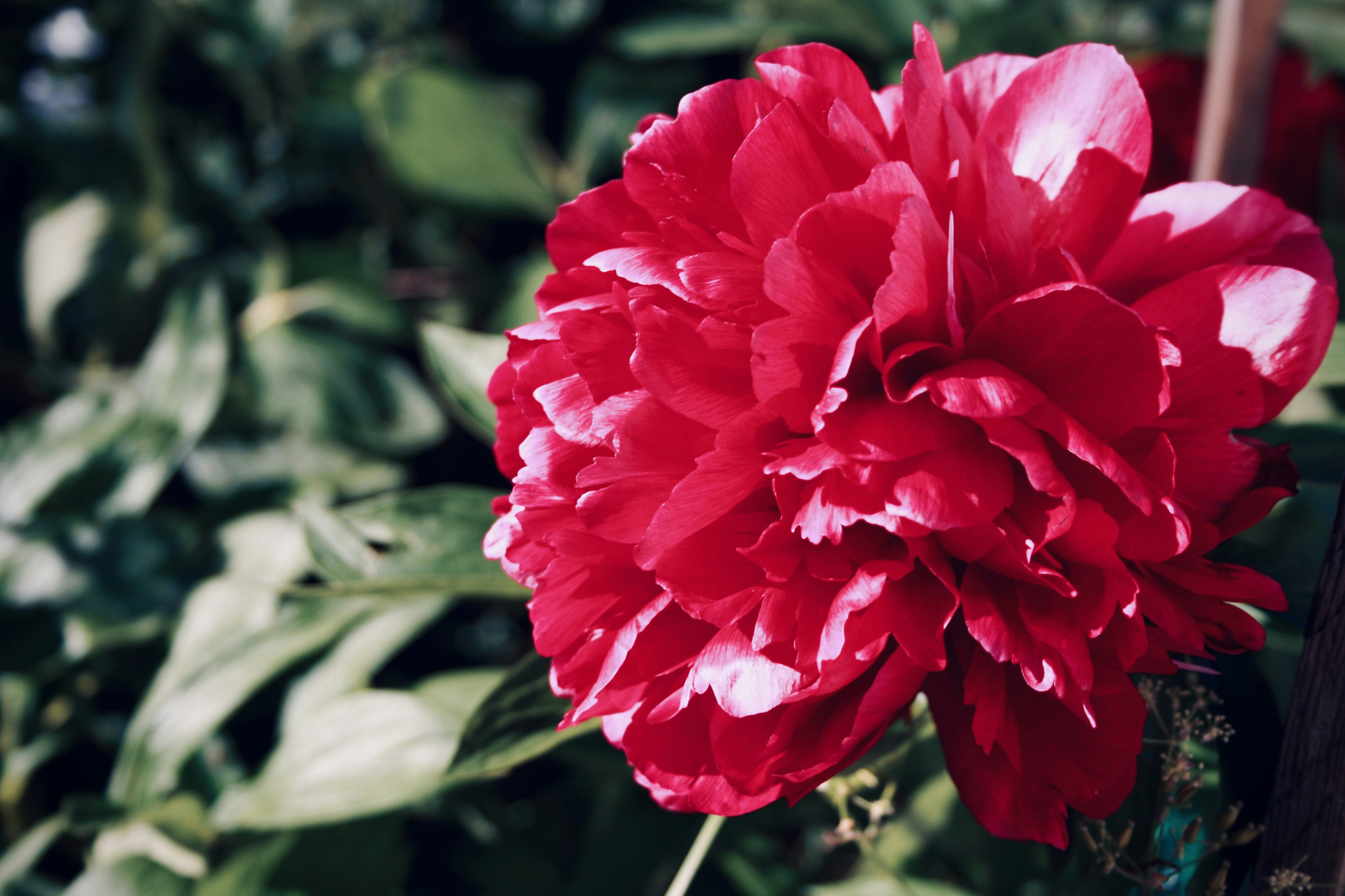 Photo by kristinokarlsen