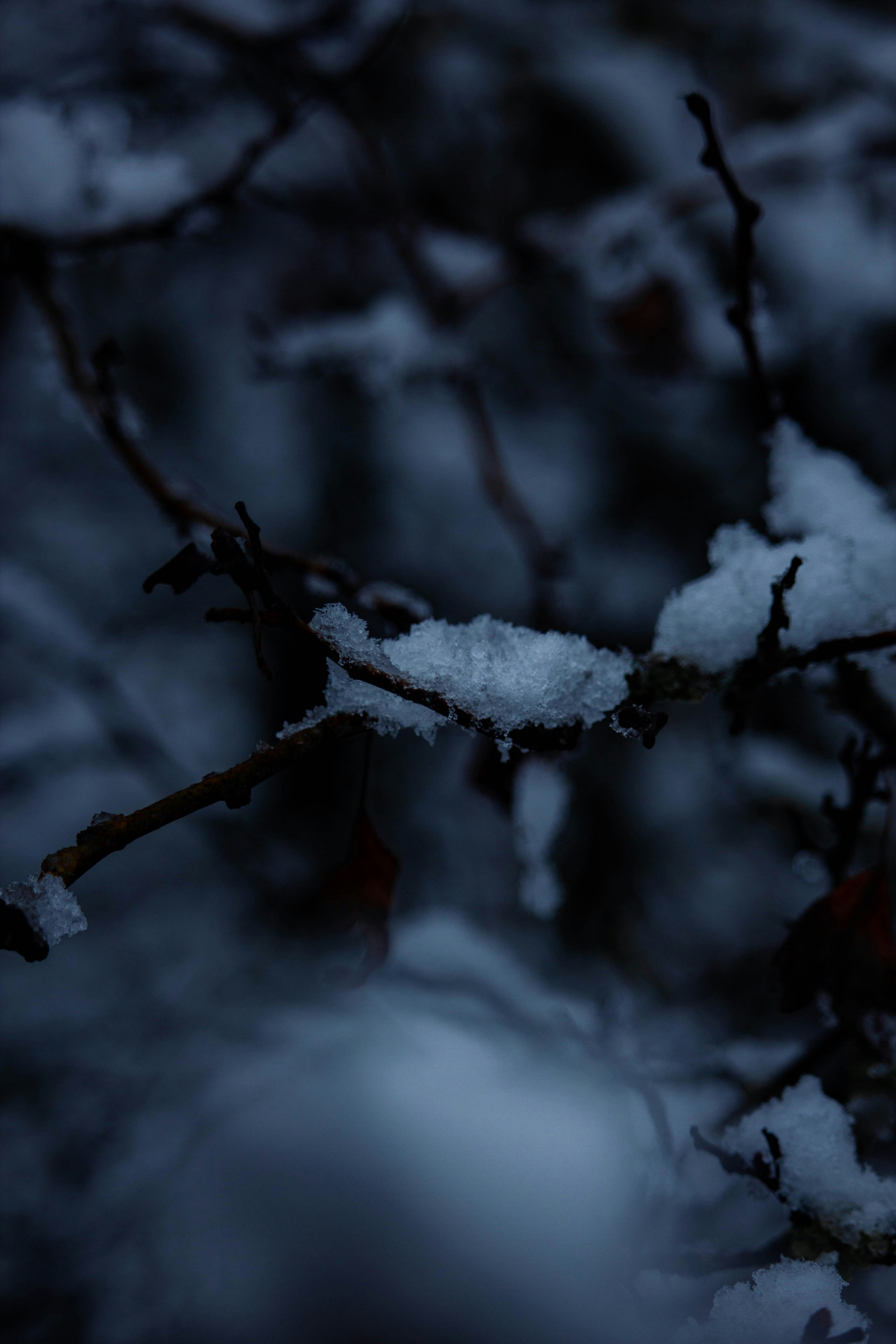 Photo by szrpphotography