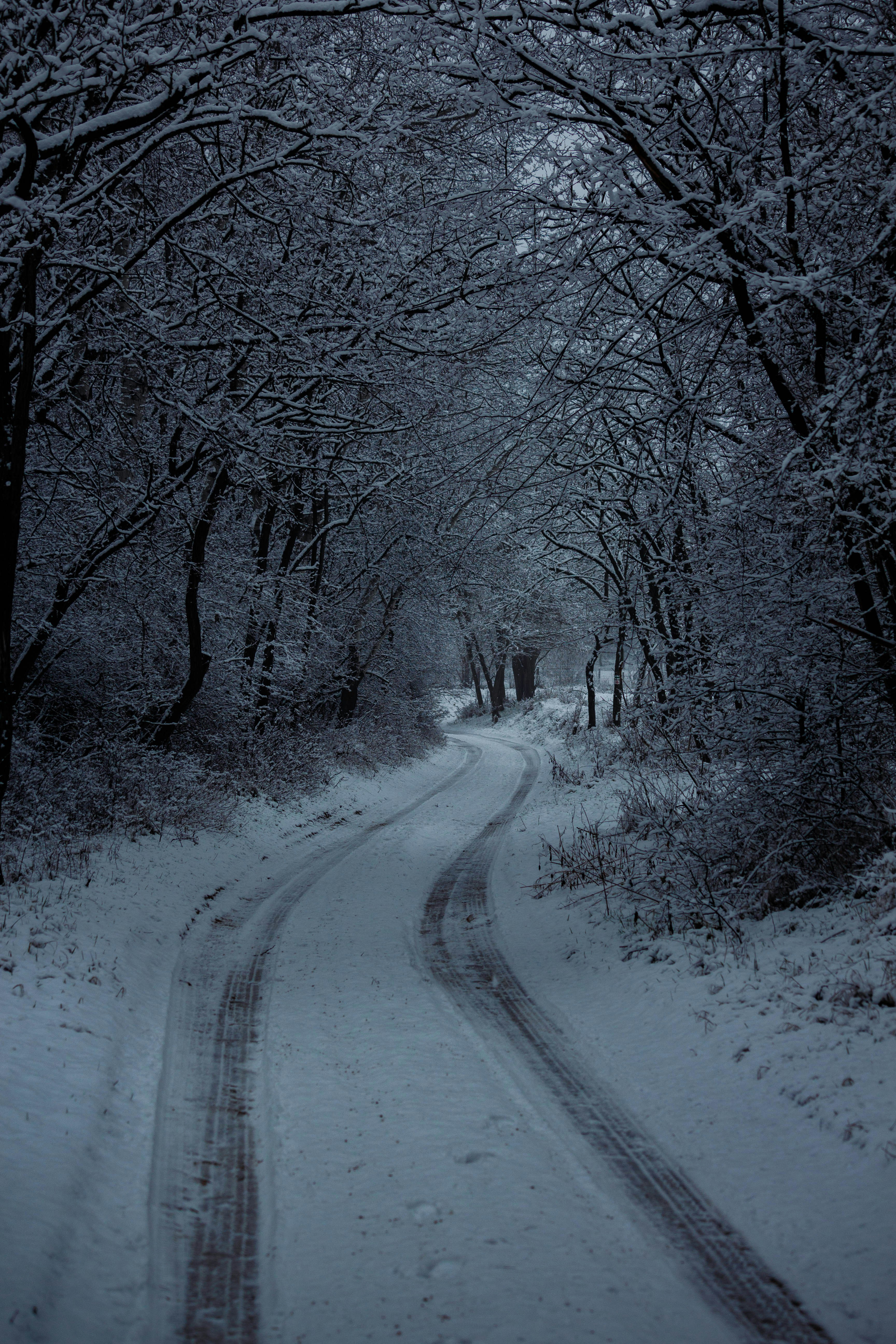 Photo by szrpphotography