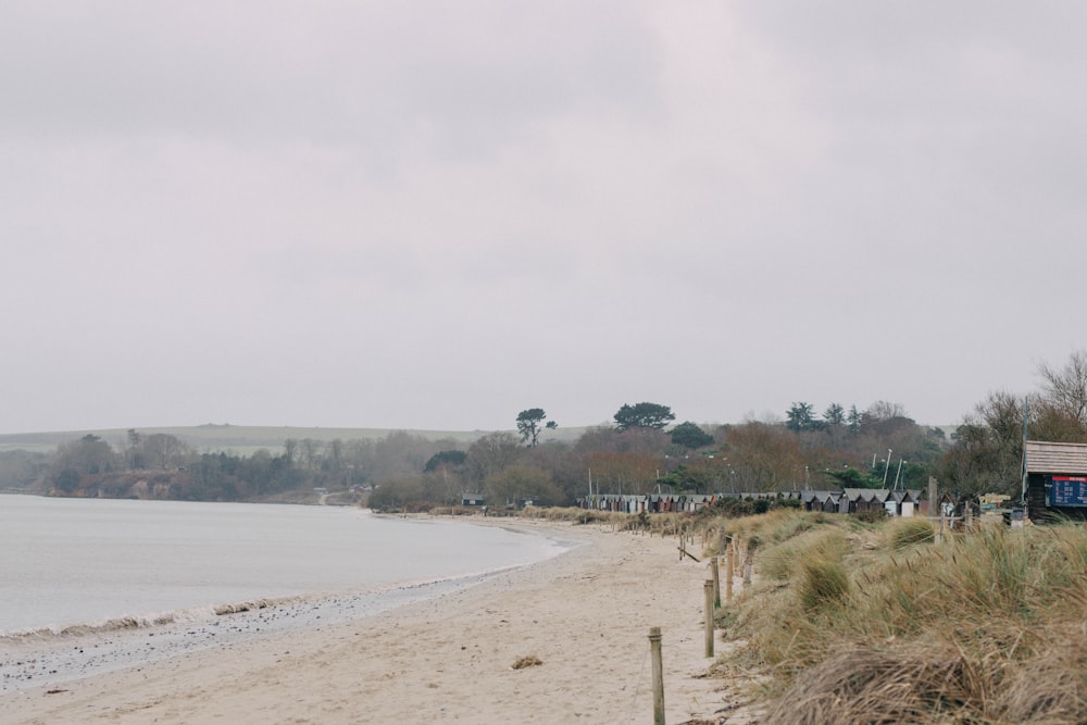 a sandy beach with people walking on it