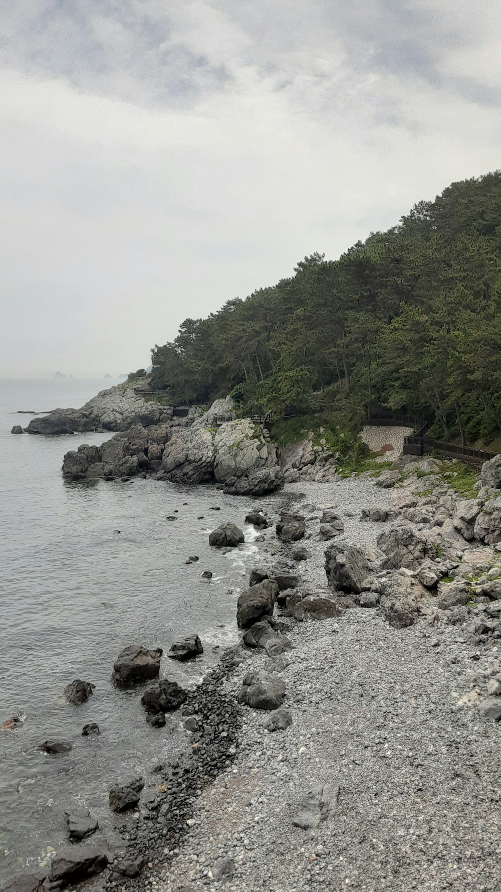a view of a rocky beach with trees in the background