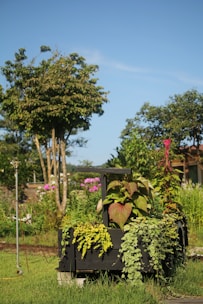 Wooden bench in the middle of a lush green field, symbolizing peaceful planting and cultivation