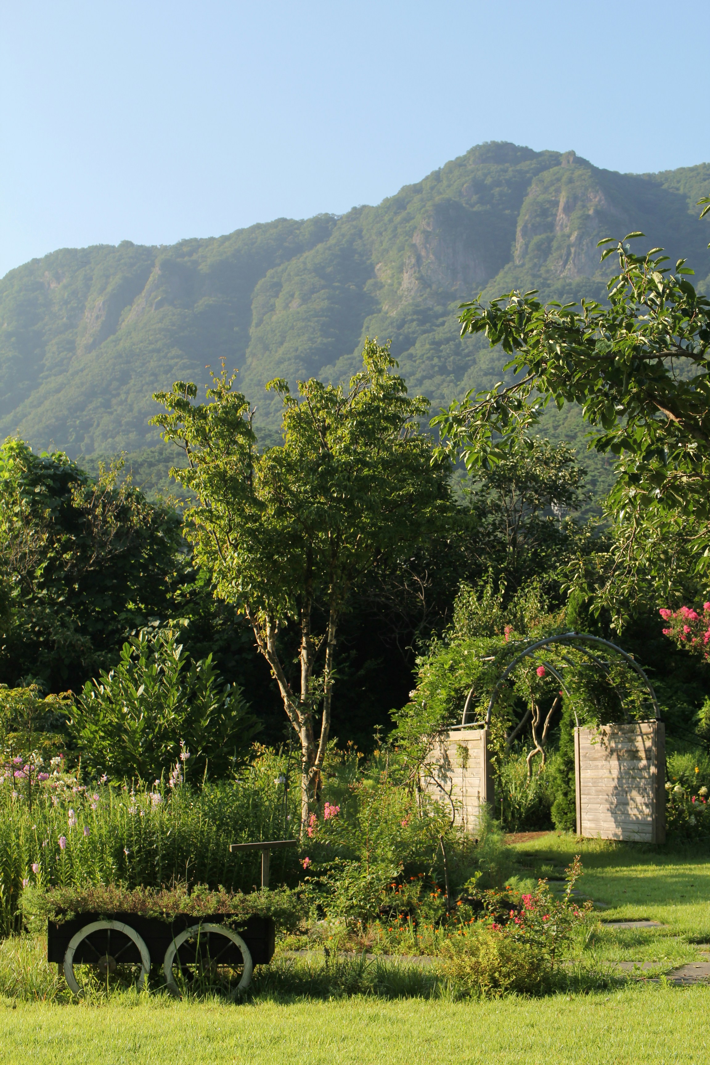 a bench in a field with a mountain in the background