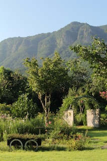 A lush green garden with a variety of trees and plants is set against a backdrop of large, forested mountains. A rustic archway made of wood stands among the greenery, and an old wheelbarrow filled with plants is visible in the foreground.