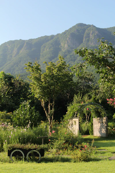 A bench in a field with mountains behind