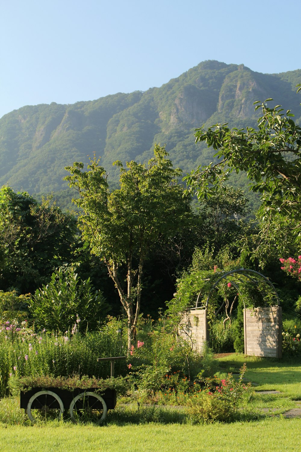 eine Bank auf einem Feld mit einem Berg im Hintergrund