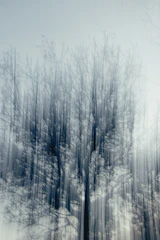An abstract family tree with interconnected roots glowing softly, symbolizing deep family bonds.