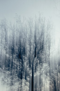 An abstract image portrays the blurred outline of a tree with a multitude of thin branches extending upwards. The background is a soft gradient of pale colors, giving the scene a dreamy and ethereal quality.