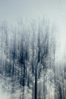 An abstract family tree with interconnected roots glowing softly, symbolizing deep family bonds.