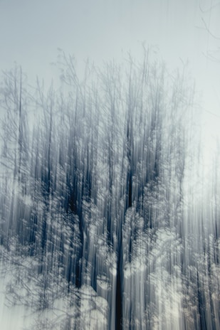 An abstract representation of machine learning models branching out like a tree.