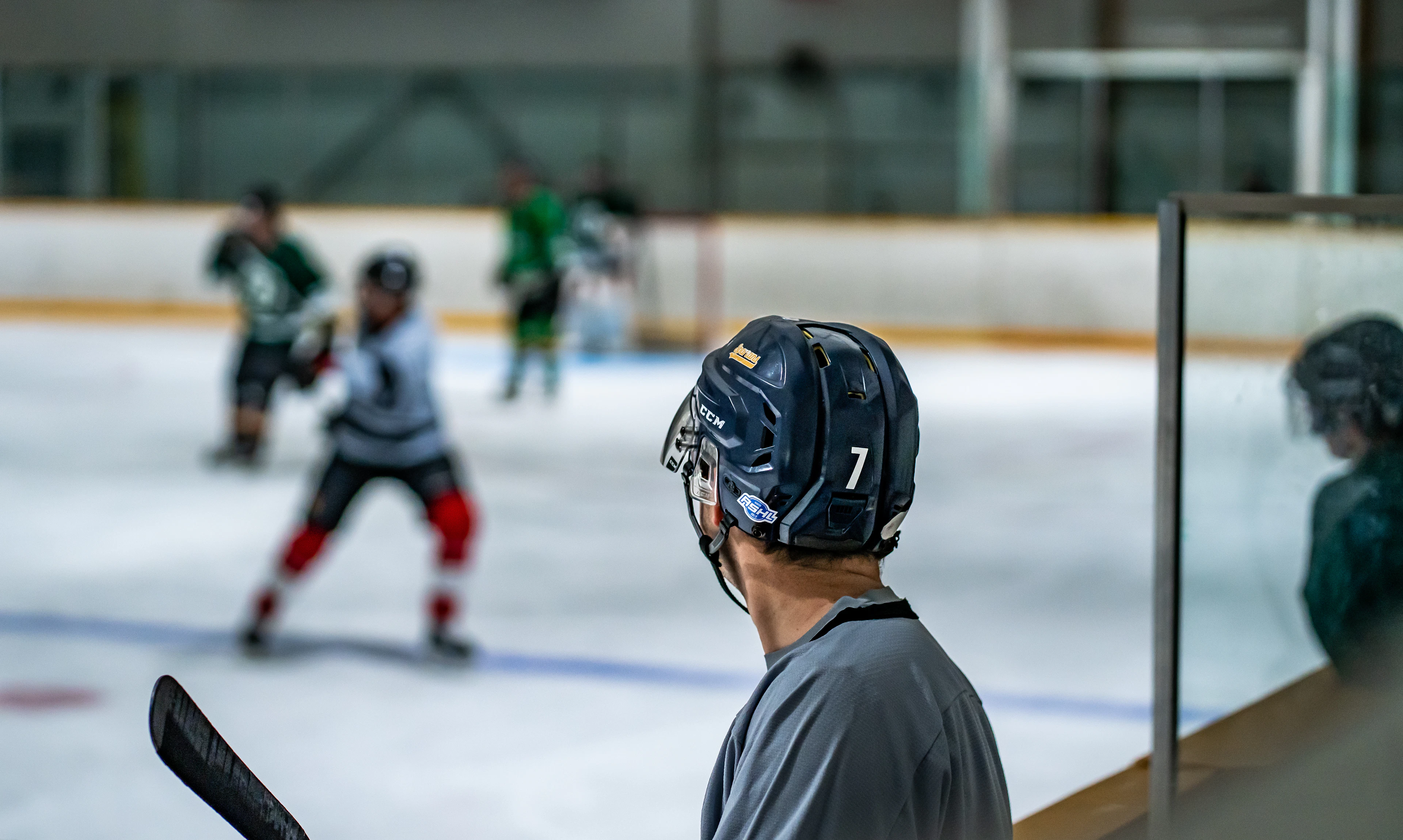 Adult recreational hockey game