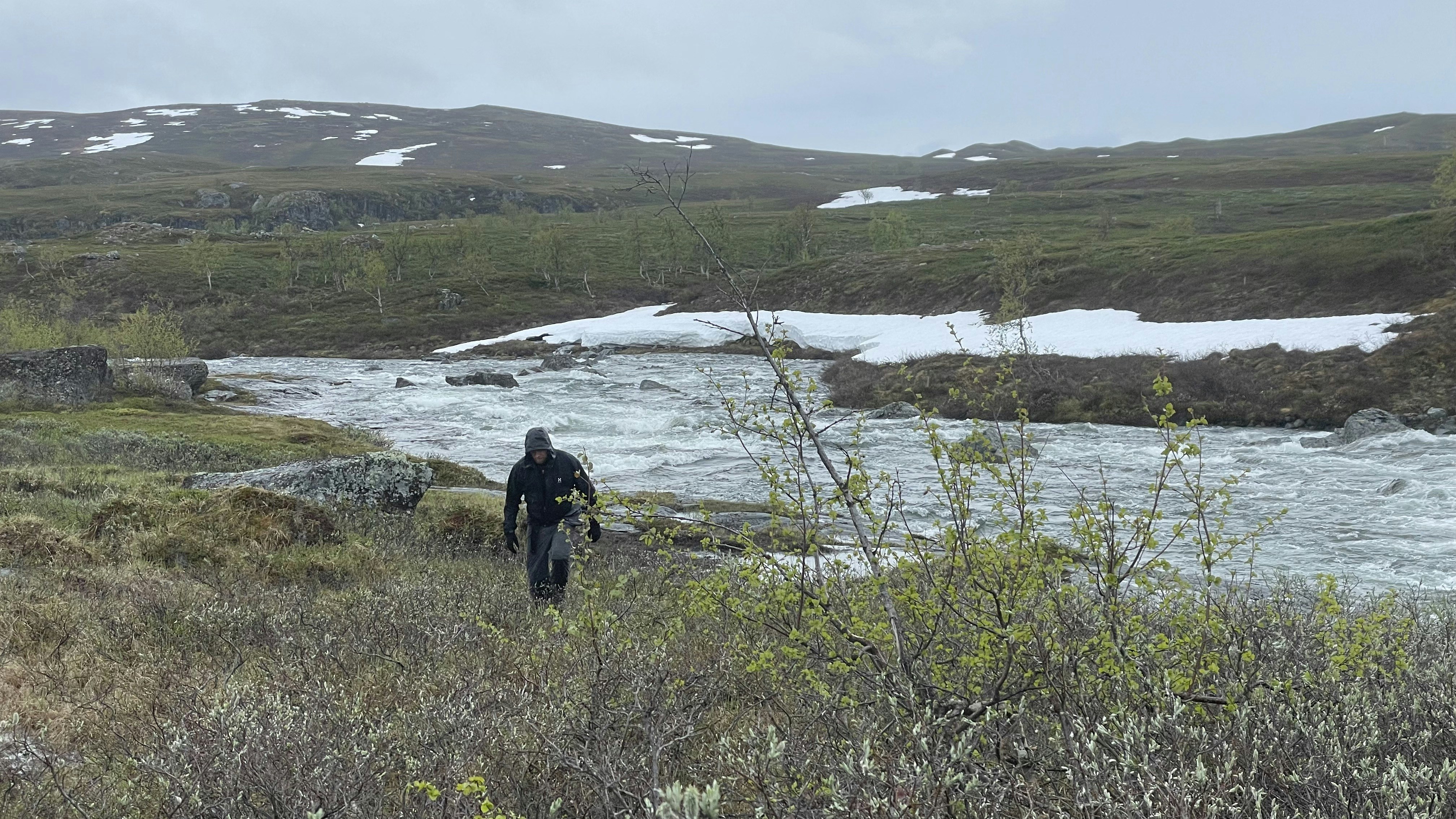 Modern Science on the Front Lines (image credits: unsplash)