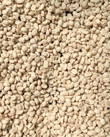 a pile of coffee beans sitting next to each other