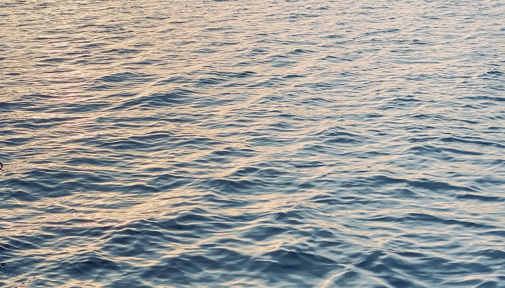 a man riding a surfboard on top of a body of water