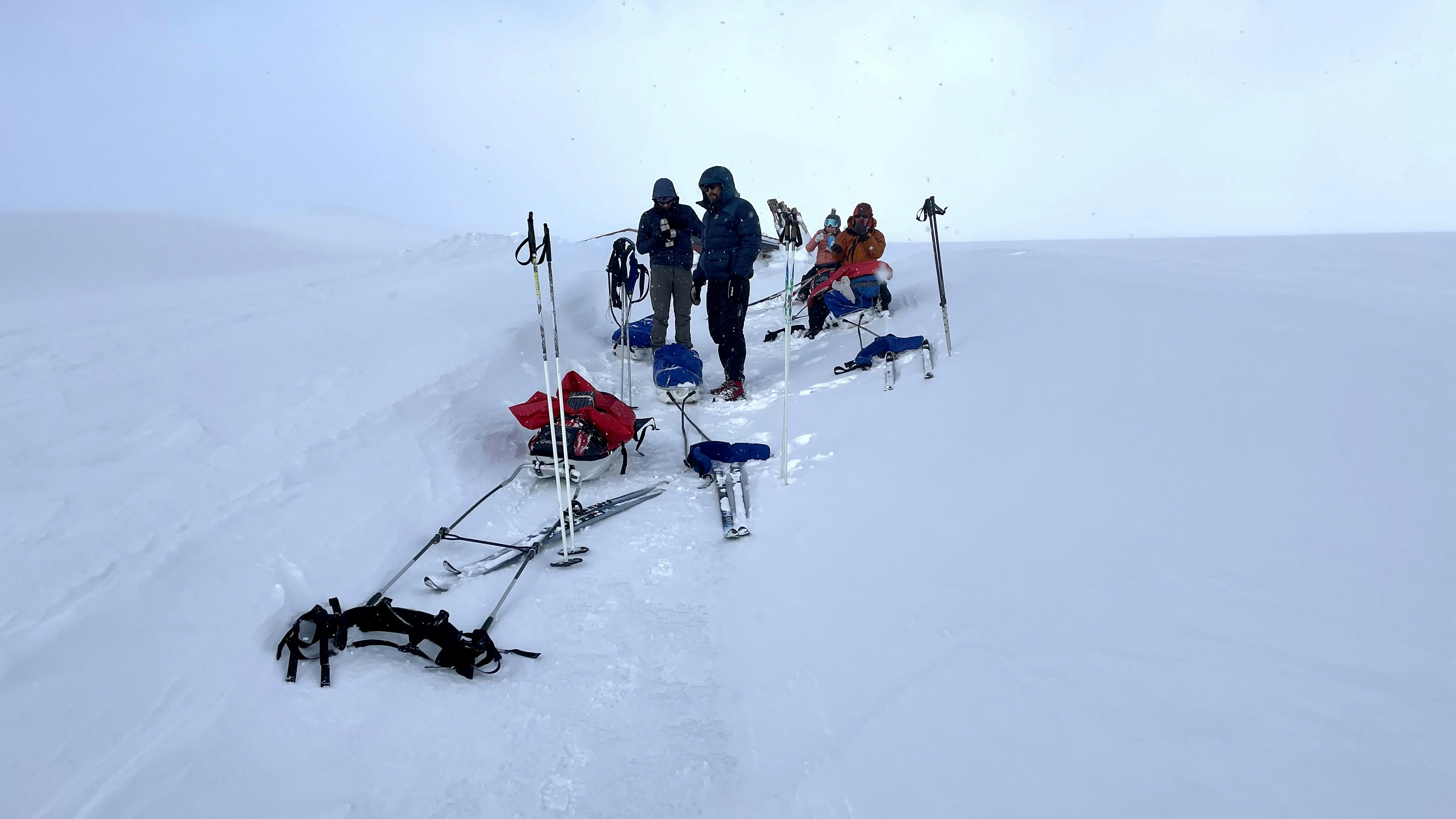 Challenges in the Field (image credits: unsplash)