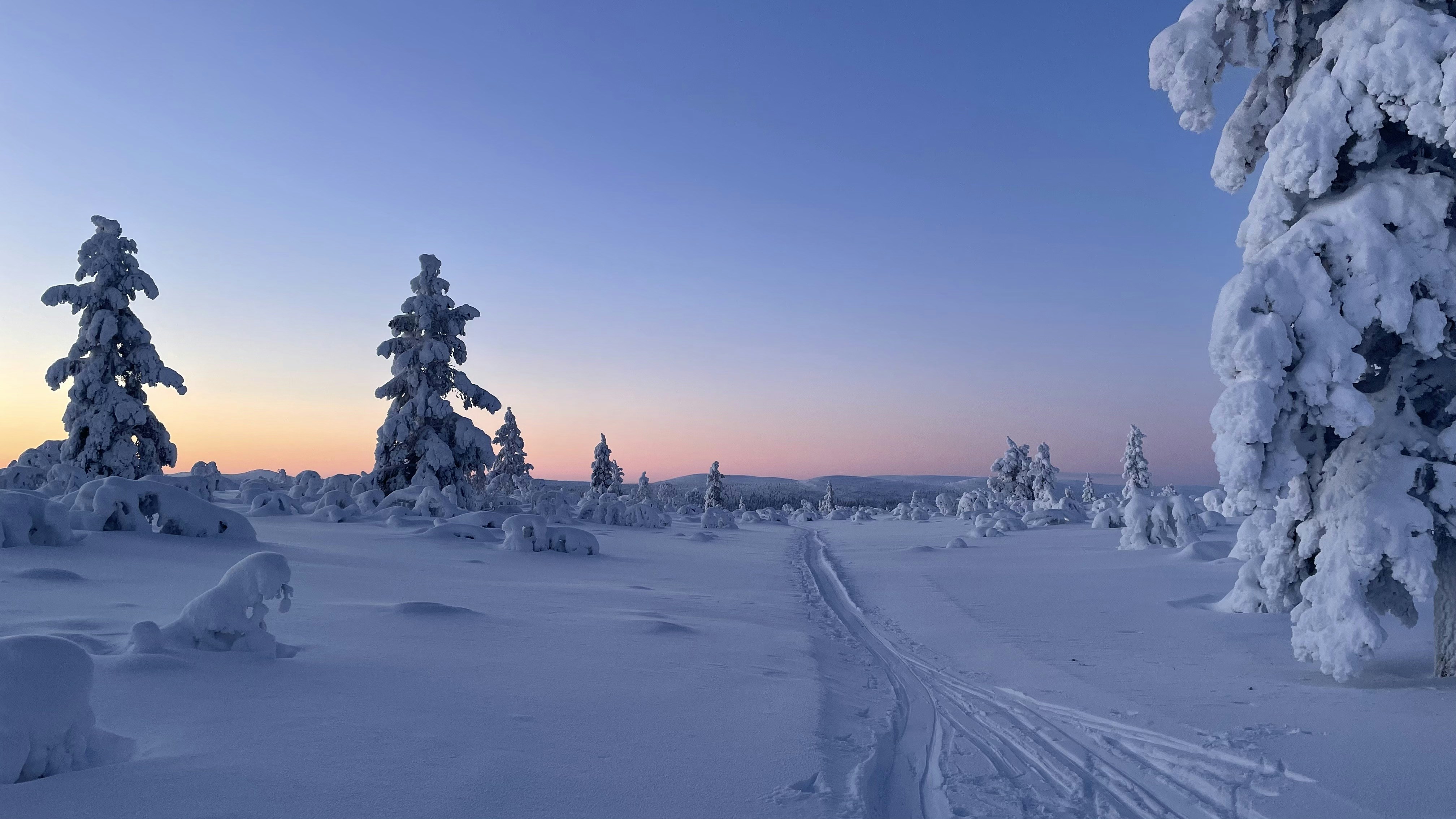 Skiing in the wilderness.