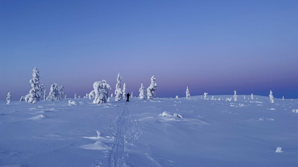 a person walking through a snow covered field