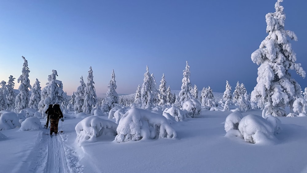 a person walking through a snow covered forest