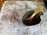 A detailed topographic map is laid out on a wooden table. On top of the map, there is a green camping mug filled with a brown liquid, and an orange plastic spork is resting inside the mug.