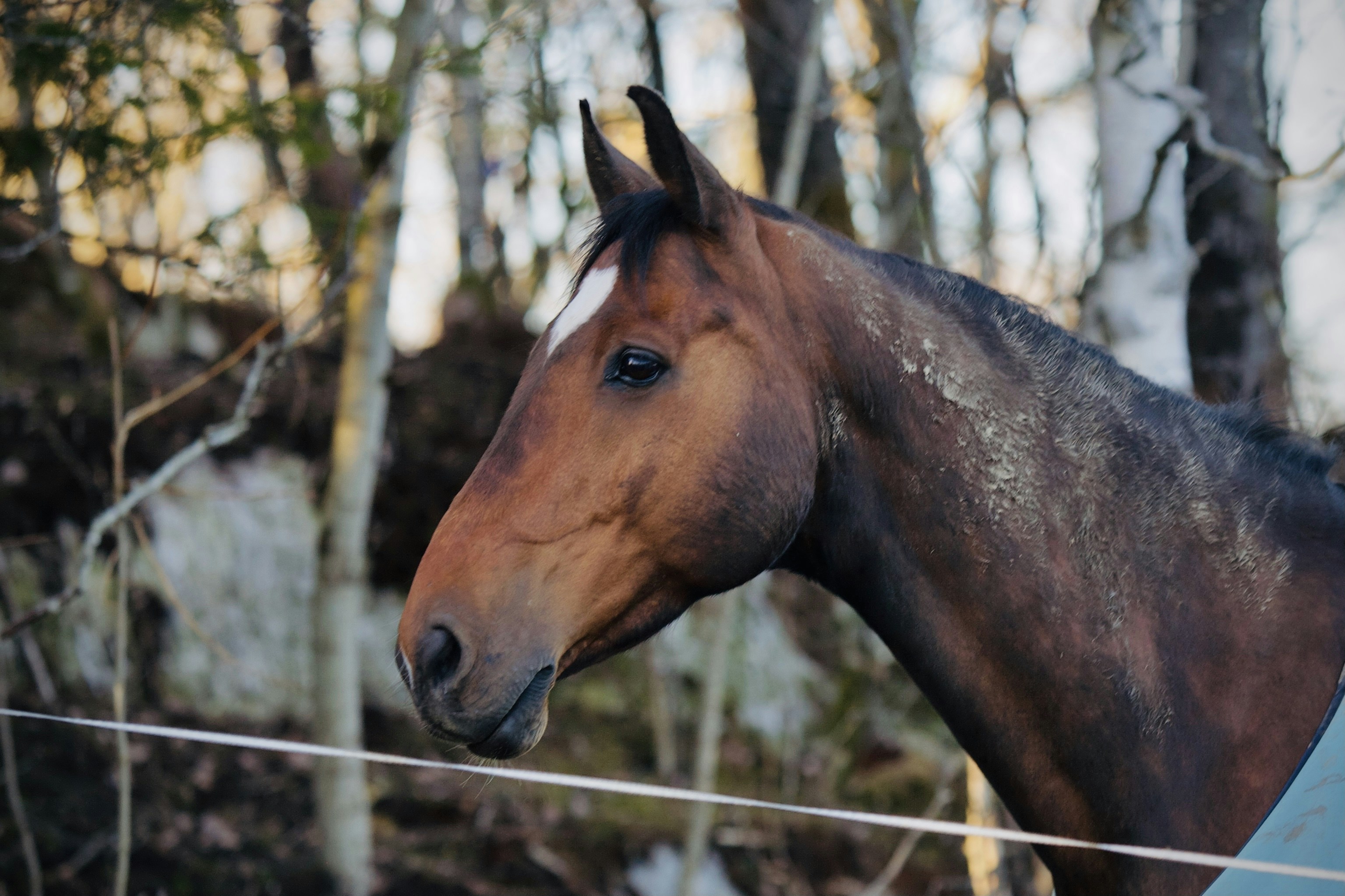 Photo by kristinokarlsen