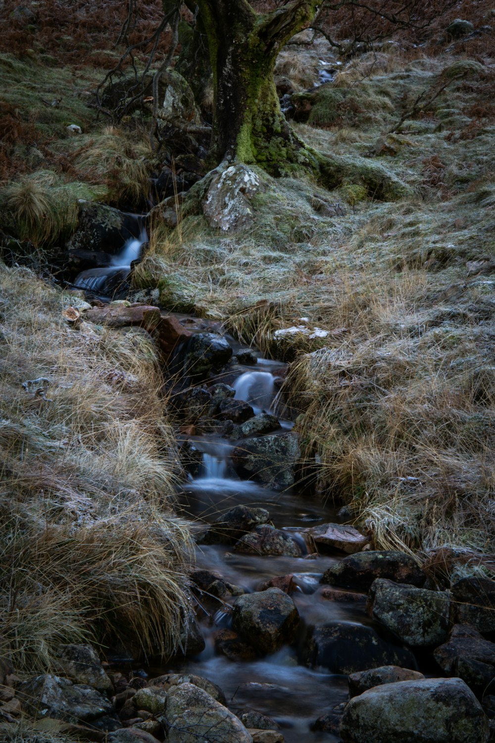 a stream running through a grass covered field