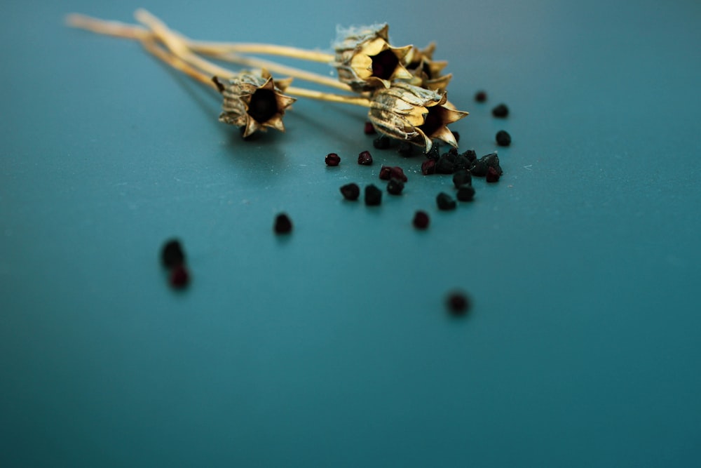 a close up of a bunch of flowers on a table