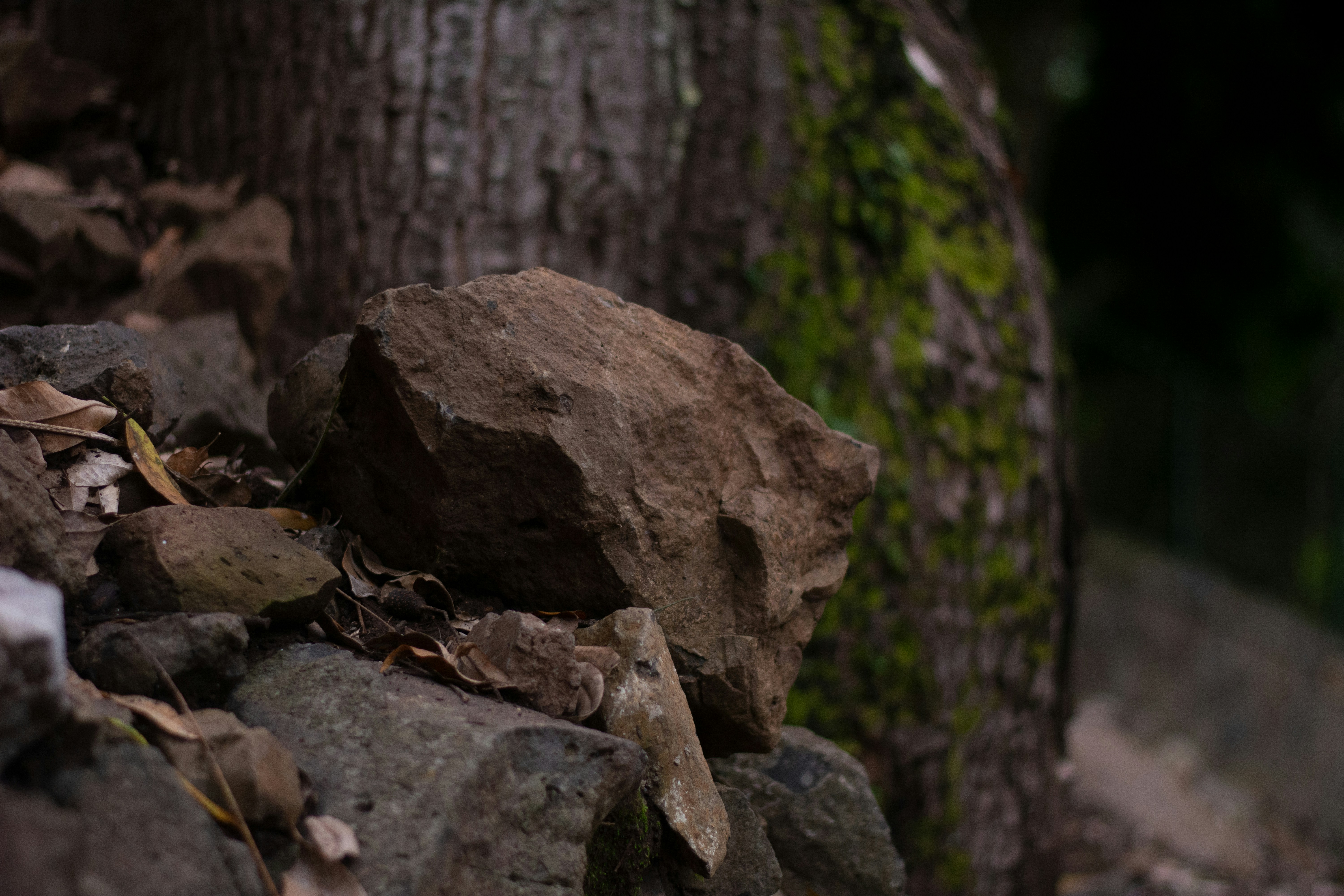 Photo by han_mon_jamon