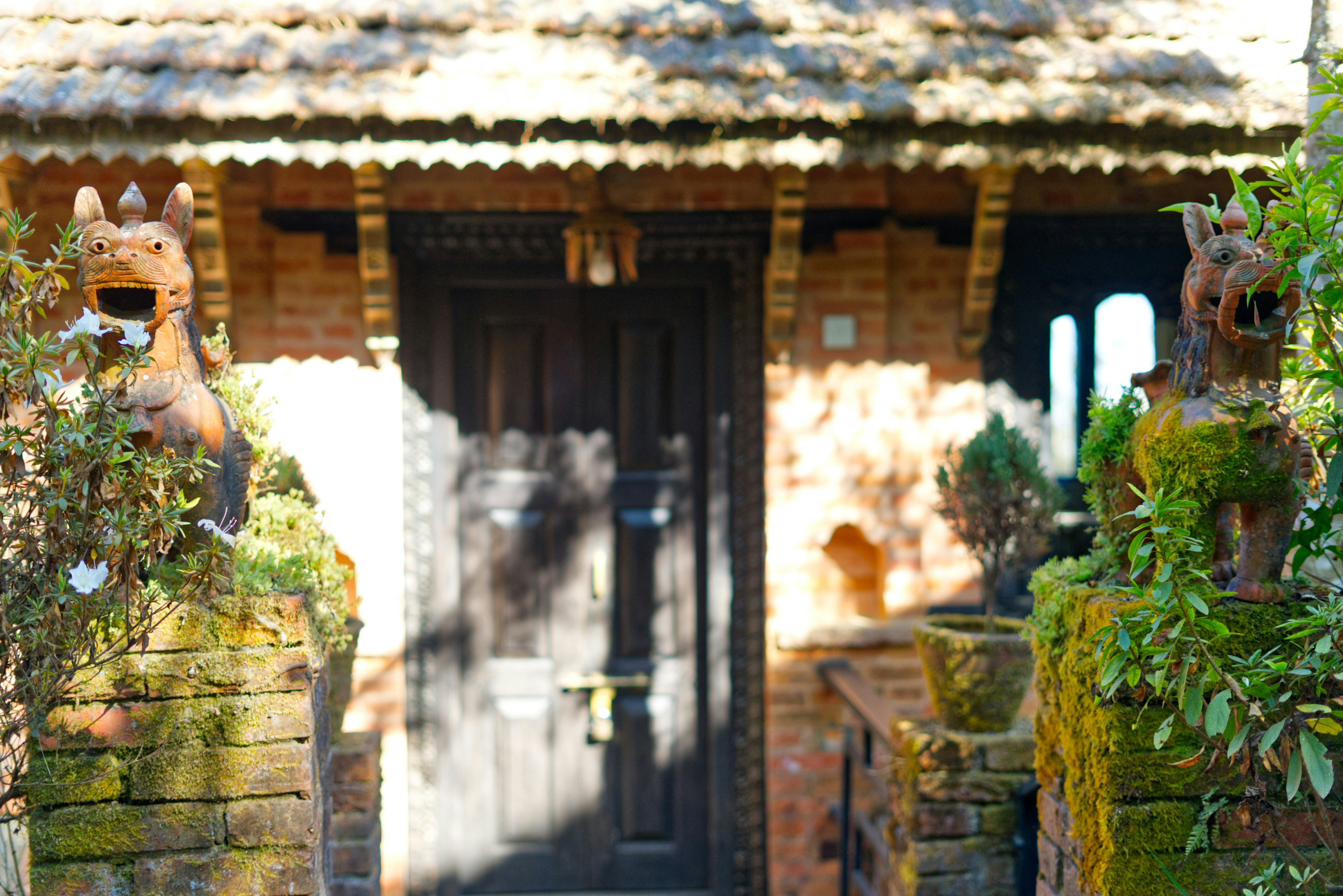 Photo by kaushalsubba