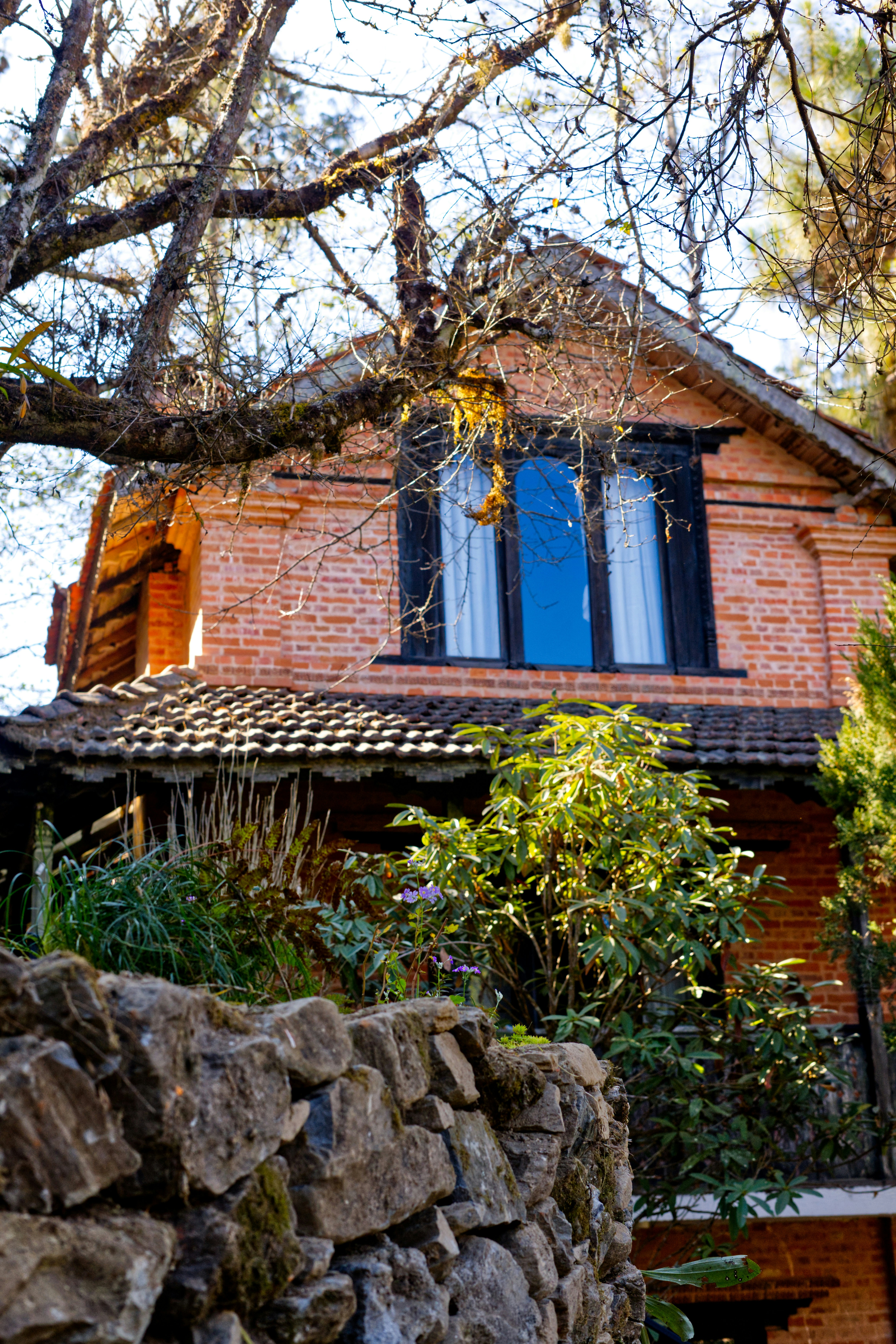 Photo by kaushalsubba