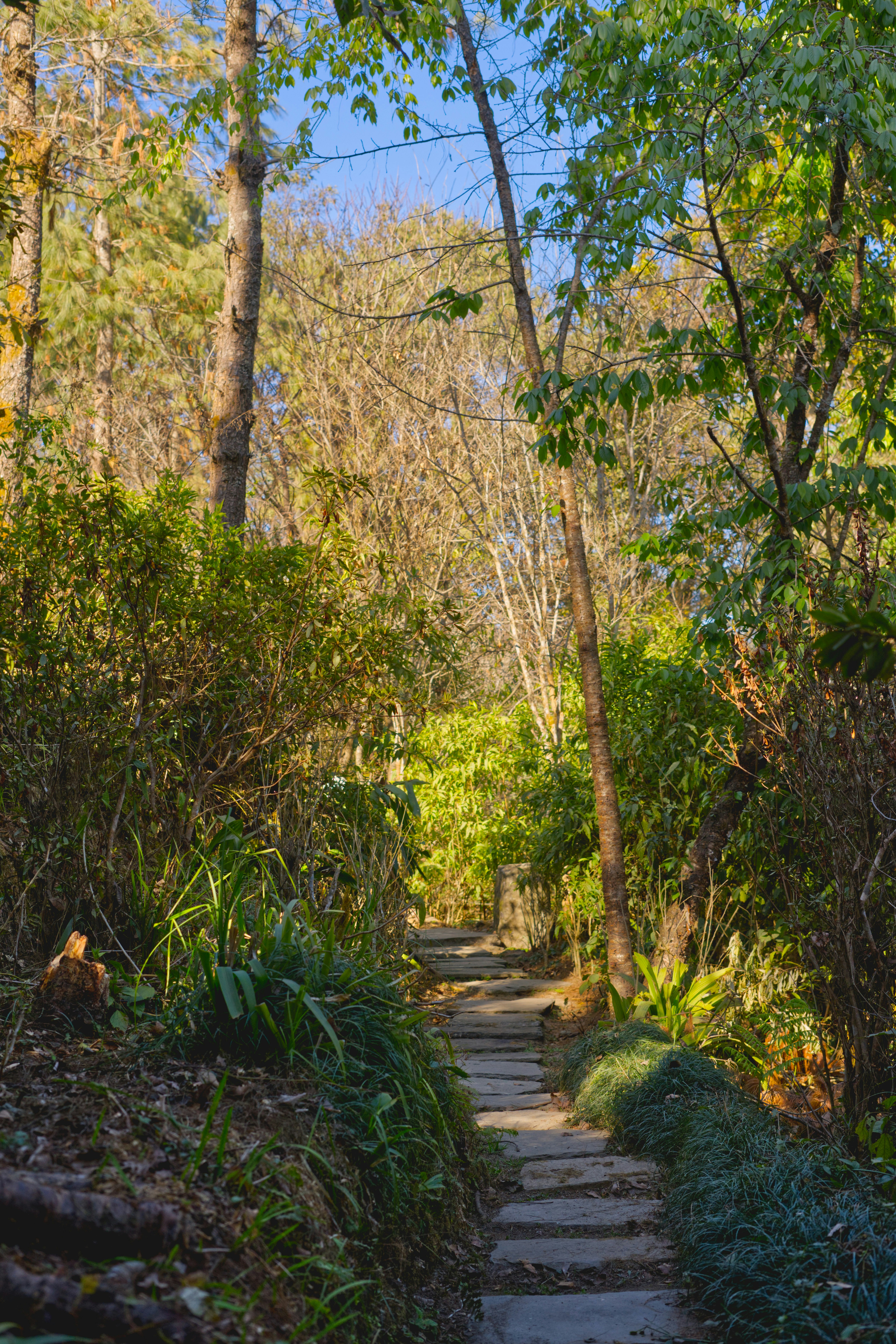 Photo by kaushalsubba