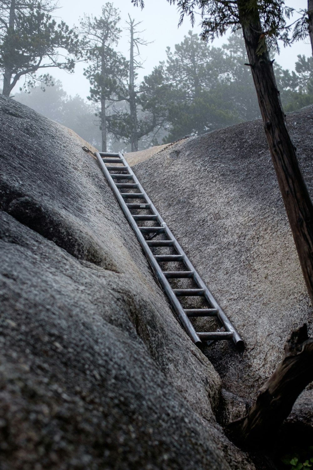 a ladder going up a steep hill with trees in the background
