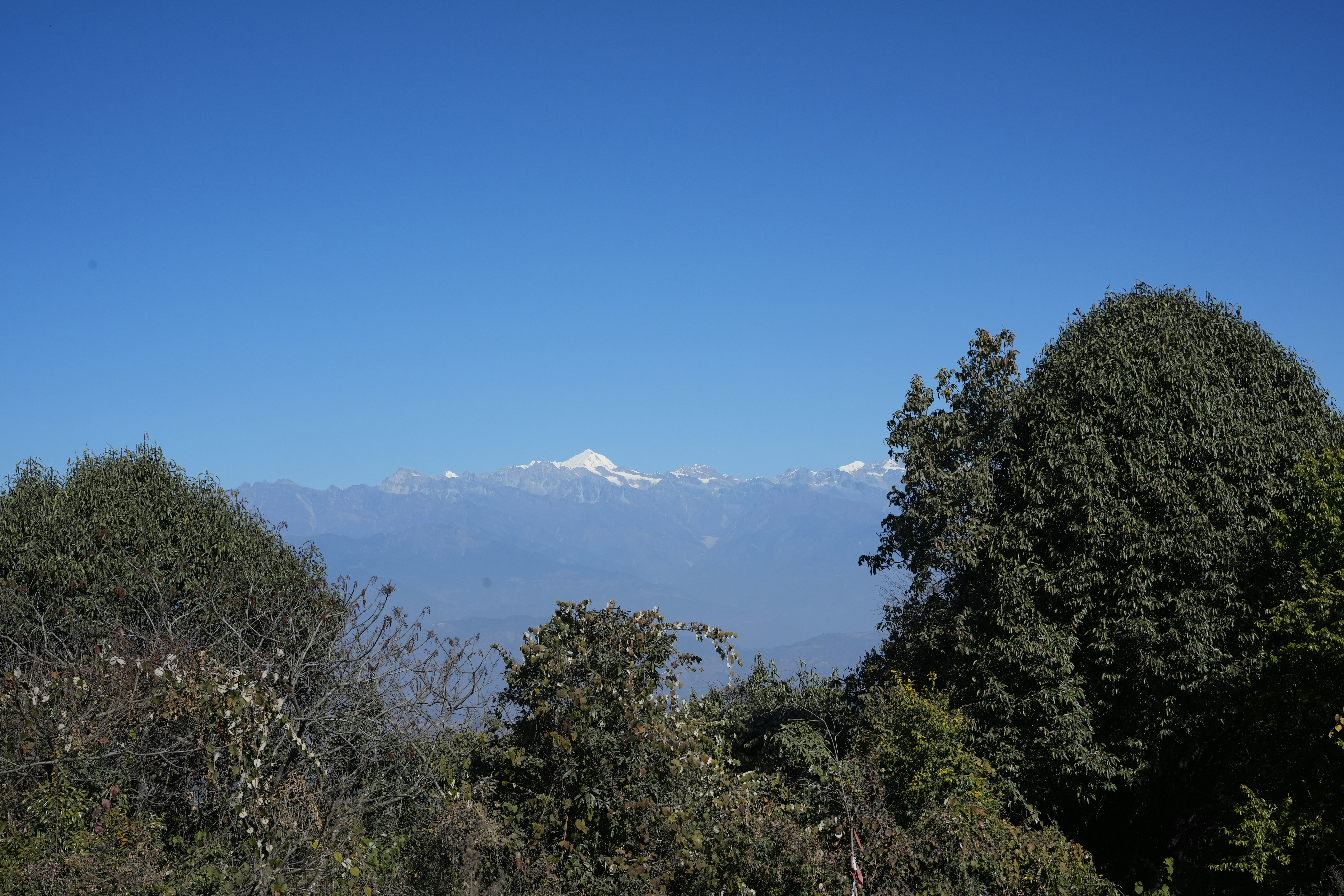 Photo by kaushalsubba