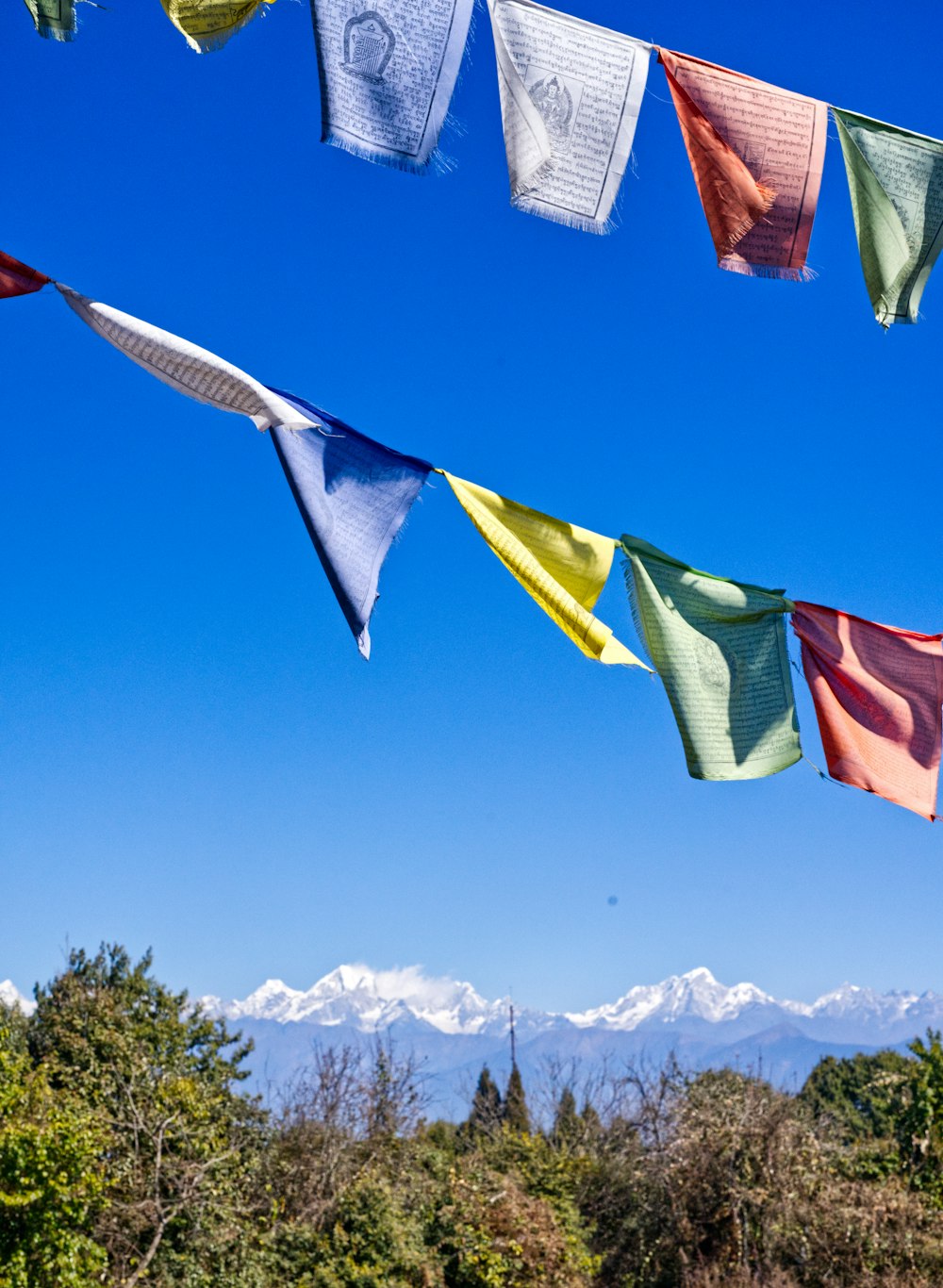 a bunch of flags that are hanging in the air