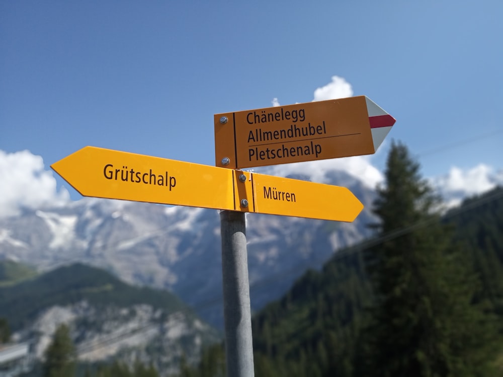 a street sign with a mountain in the background